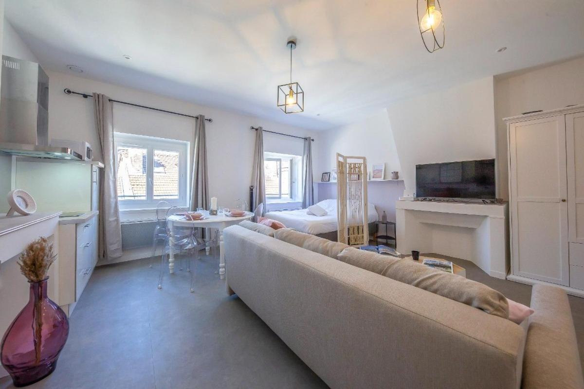 Apartmán Le Rendezvous Cocooning Des Grenoblois Grenoble Exteriér fotografie